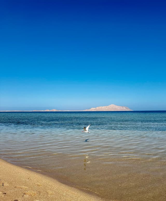 Premium travel experience