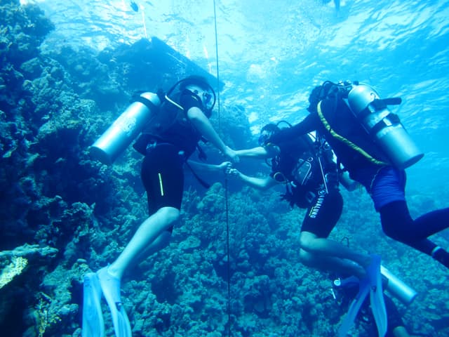 Red Sea diving